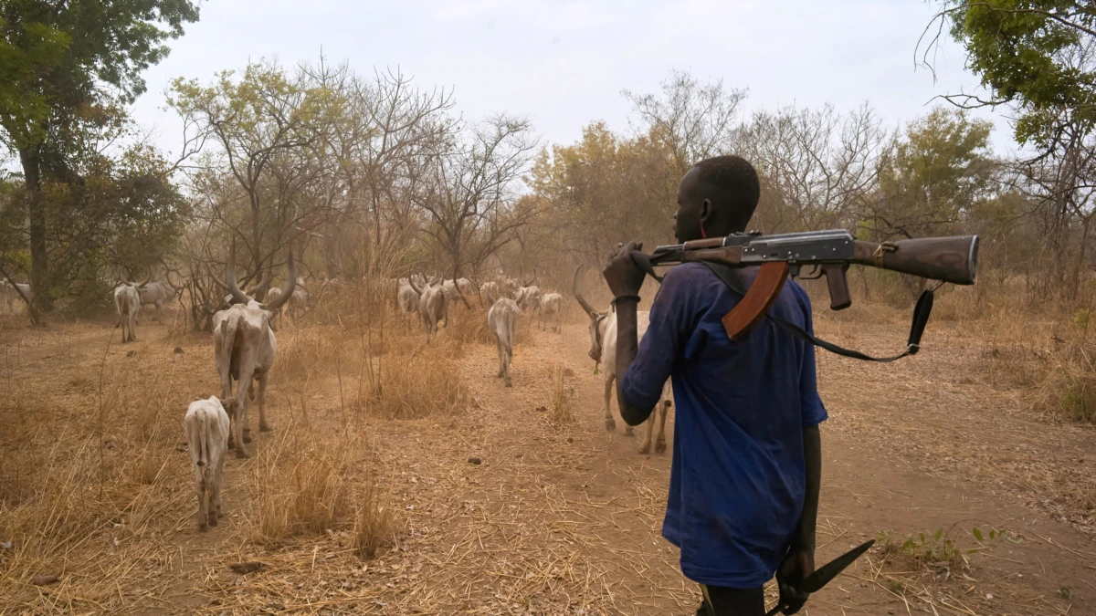 70 lost lives in cattle raids at South Sudan