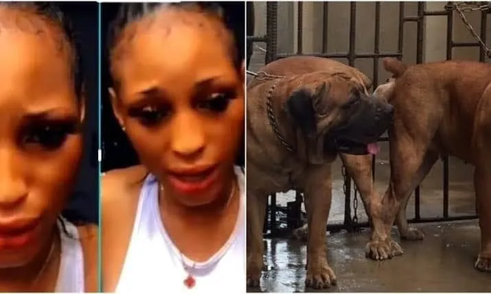 Lagos Lady slept with Dog for N1.7m dies of infection