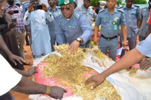 Kebbi Customs Generates N38 Million Revenue, Makes Seizures Worth N61.5 Million, in 1Month