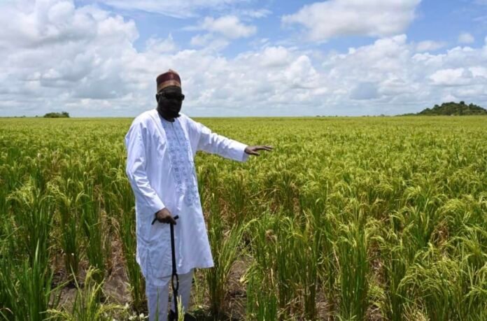 President Kiir encourages household farmers to engage in agricultural activities