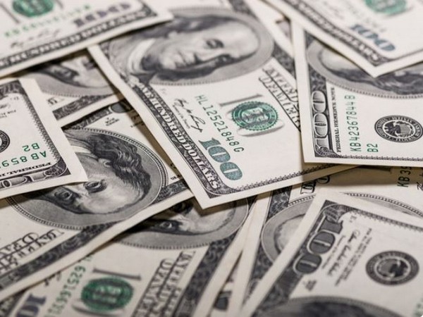 Pakistan's foreign exchange reserves drop down to USD 4.5 billion