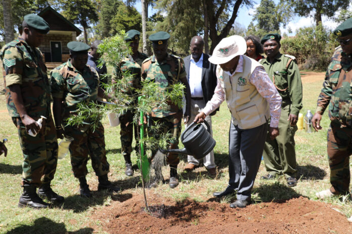 Kenya Forest Service tours forest areas in Baringo