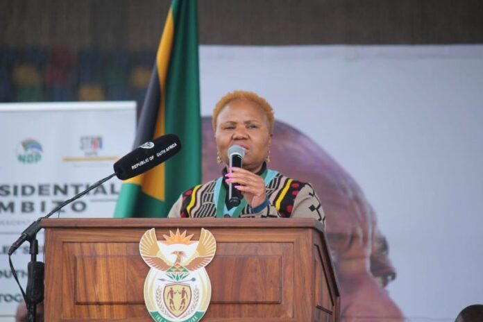 Minister Lindiwe Zulu applauds critical role played by non-governmental orgs.