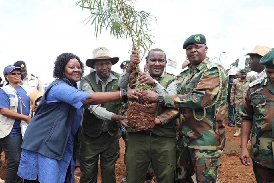 Kenya celebrates International Day of forests to raise awareness