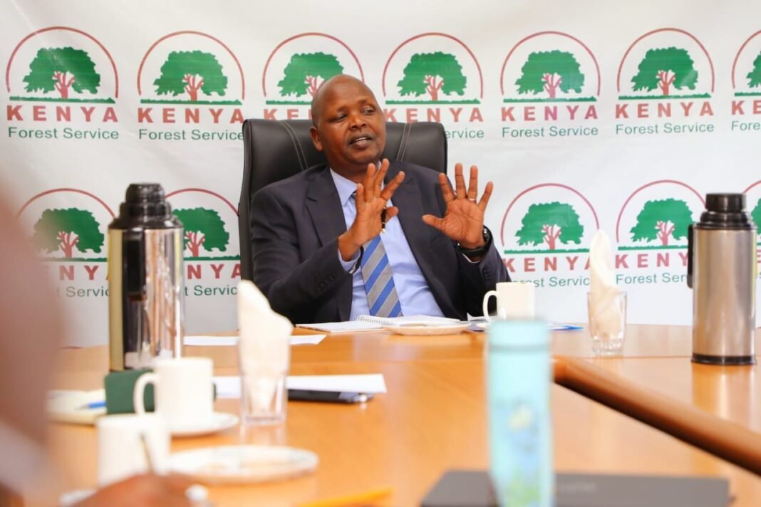 Kenya: Israel Ambassador praises urban forests serving recreational purposes