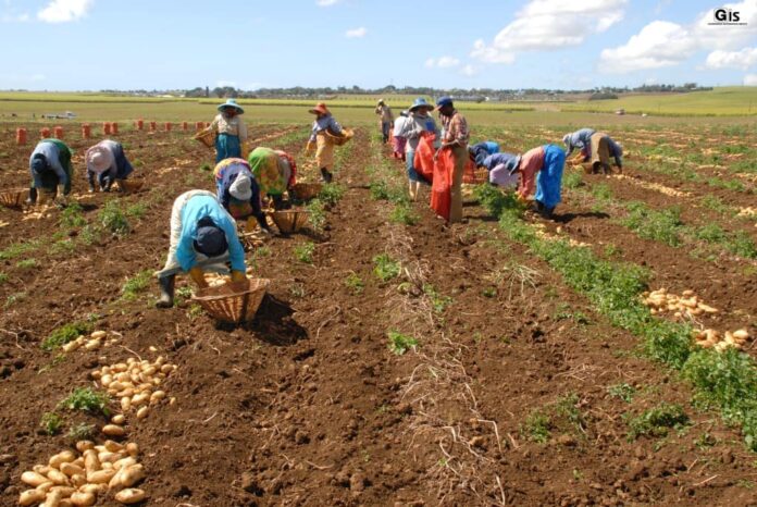 Mauritius to host 'Les Assises de L'Agriculture' on Sustainable Food Systems