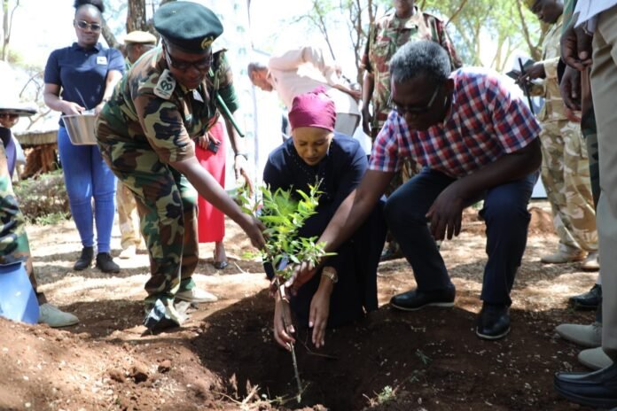 Kenya launches trans-boundary tree planting programme with partners