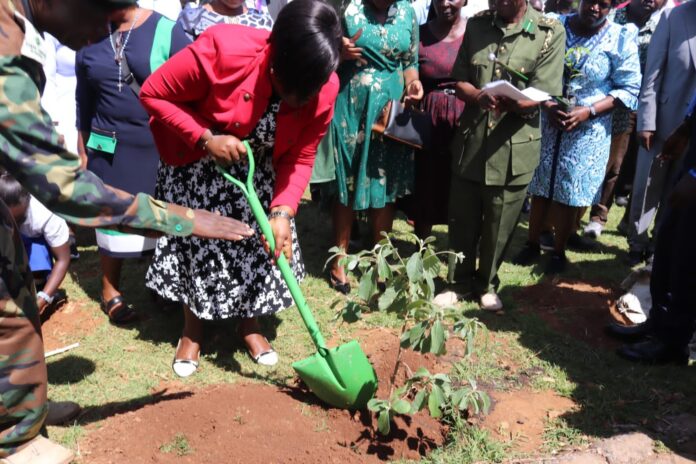 Homa-Bay county schools to compete in tree growing