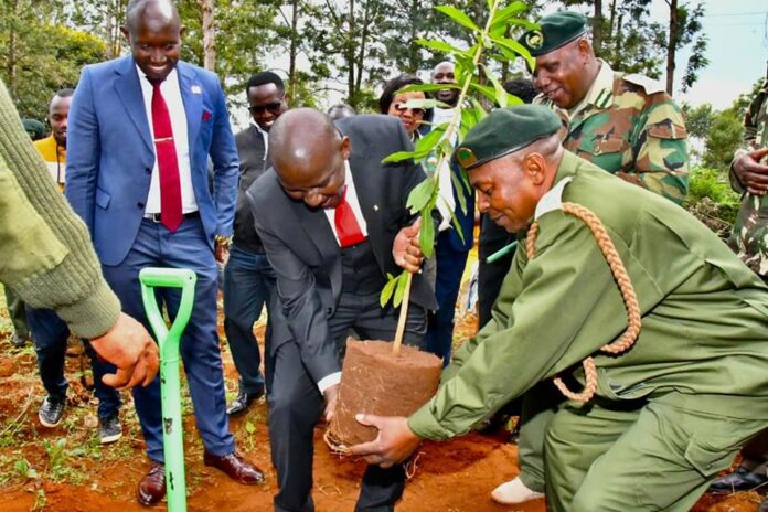 Kenya: PCEA Church launches Tree Planting Drive, aims to plant 15 Billion Trees by 2032