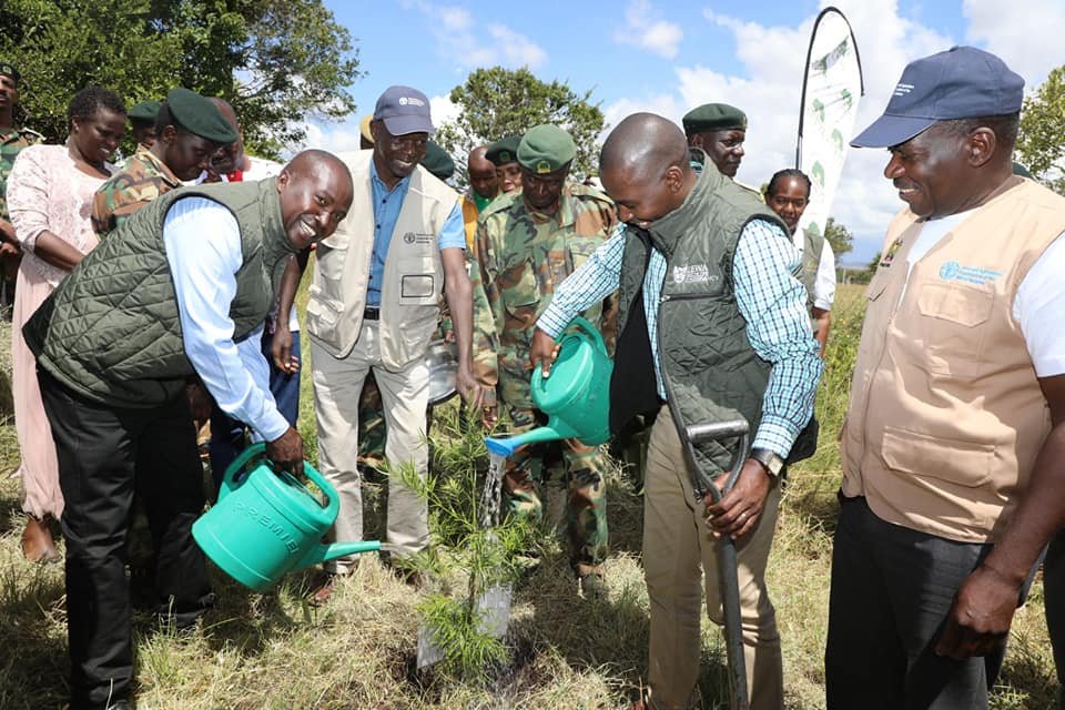 Kenya Forest Service launches Management Plan