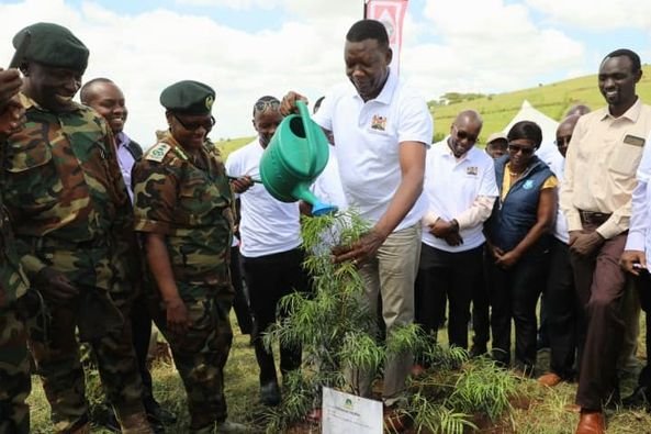 Kenya Energy Minister assures to work with Kenya Forest Service