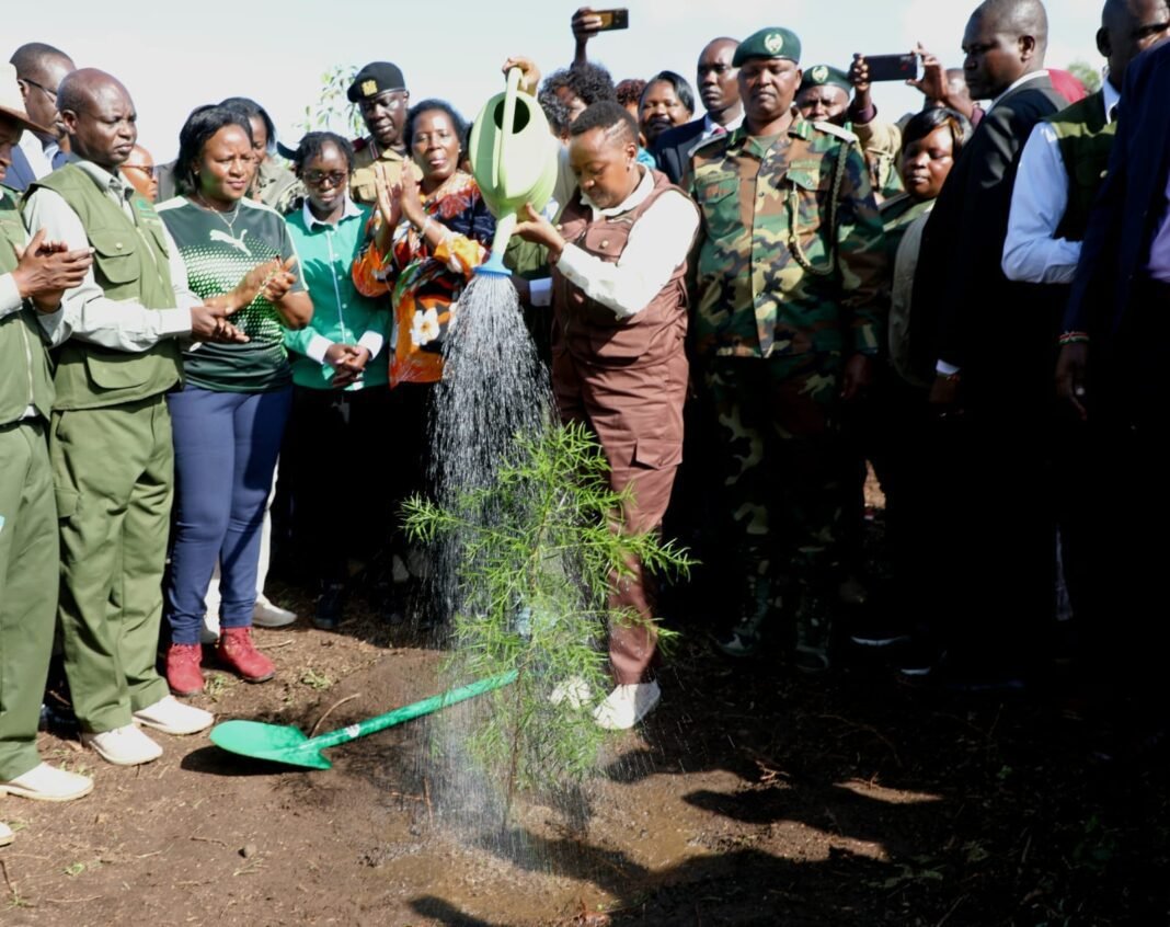 Kenya KFS and MAMA commit to restore forests