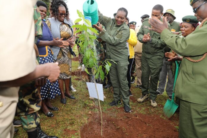 Kenya Cabinet Secretary encourages tree-planting birthdays for Greener Future