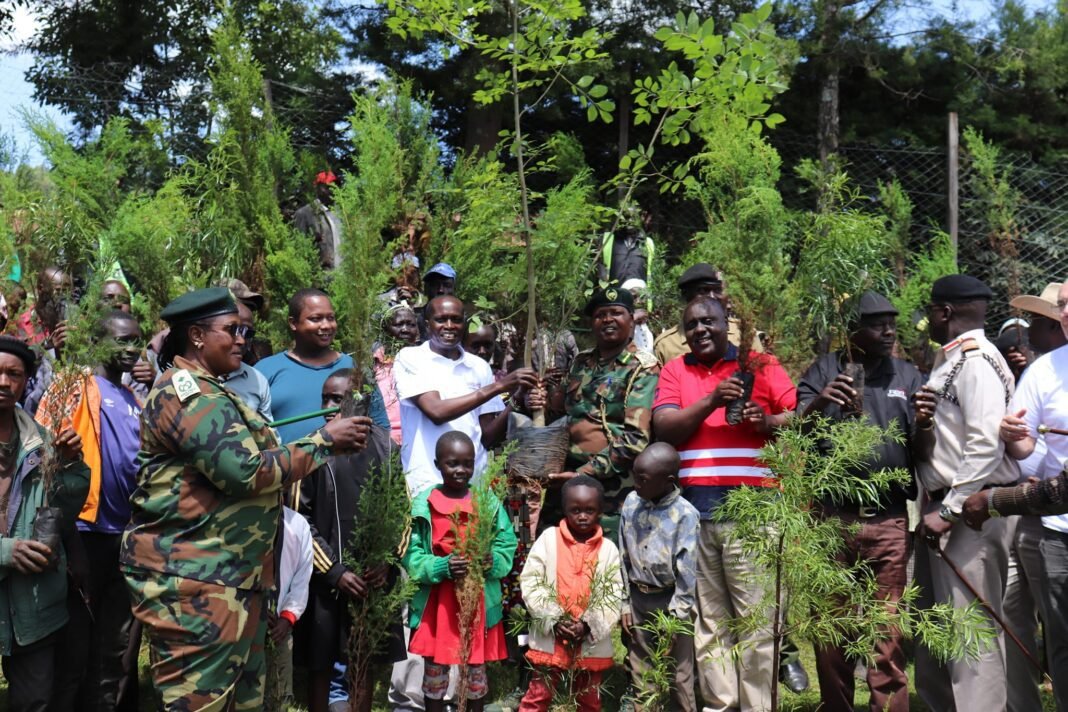 Baringo County urged to boost Water Security through Tree Planting