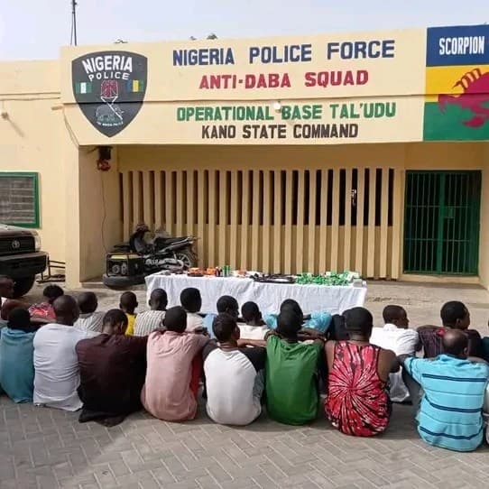 Kano State: 24 suspects arrested for dealing illicit drugs, Image: facebook, Kano state Police Command