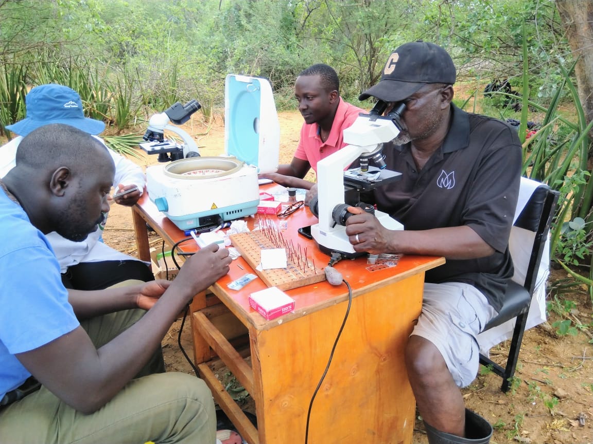 Turkana County Government intensifies efforts to combat Tsetse fly invasion.