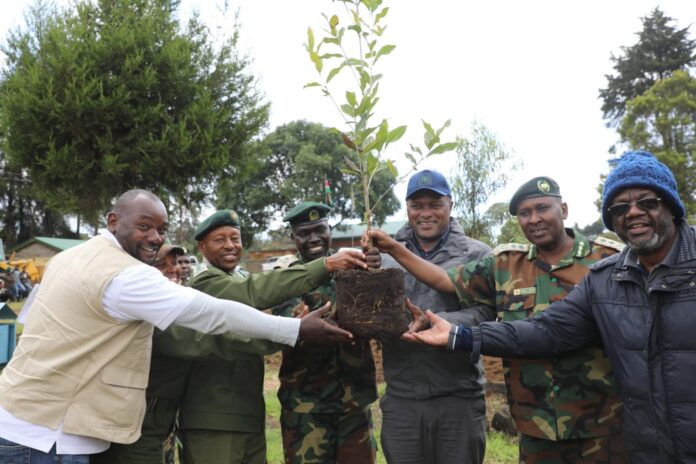 Kenya Green Zones Project to accelerate seedlings production