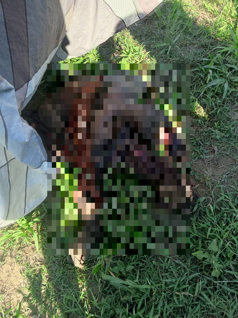 Elephant kills man in Chama district