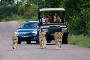 Kruger National Park of South Africa