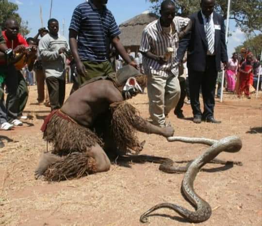 Nyau dancer bitten by snake at Dambwe put to rest