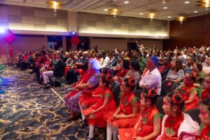 Audience watching Chinese Arts Troupe performing at Spring Festival Gala