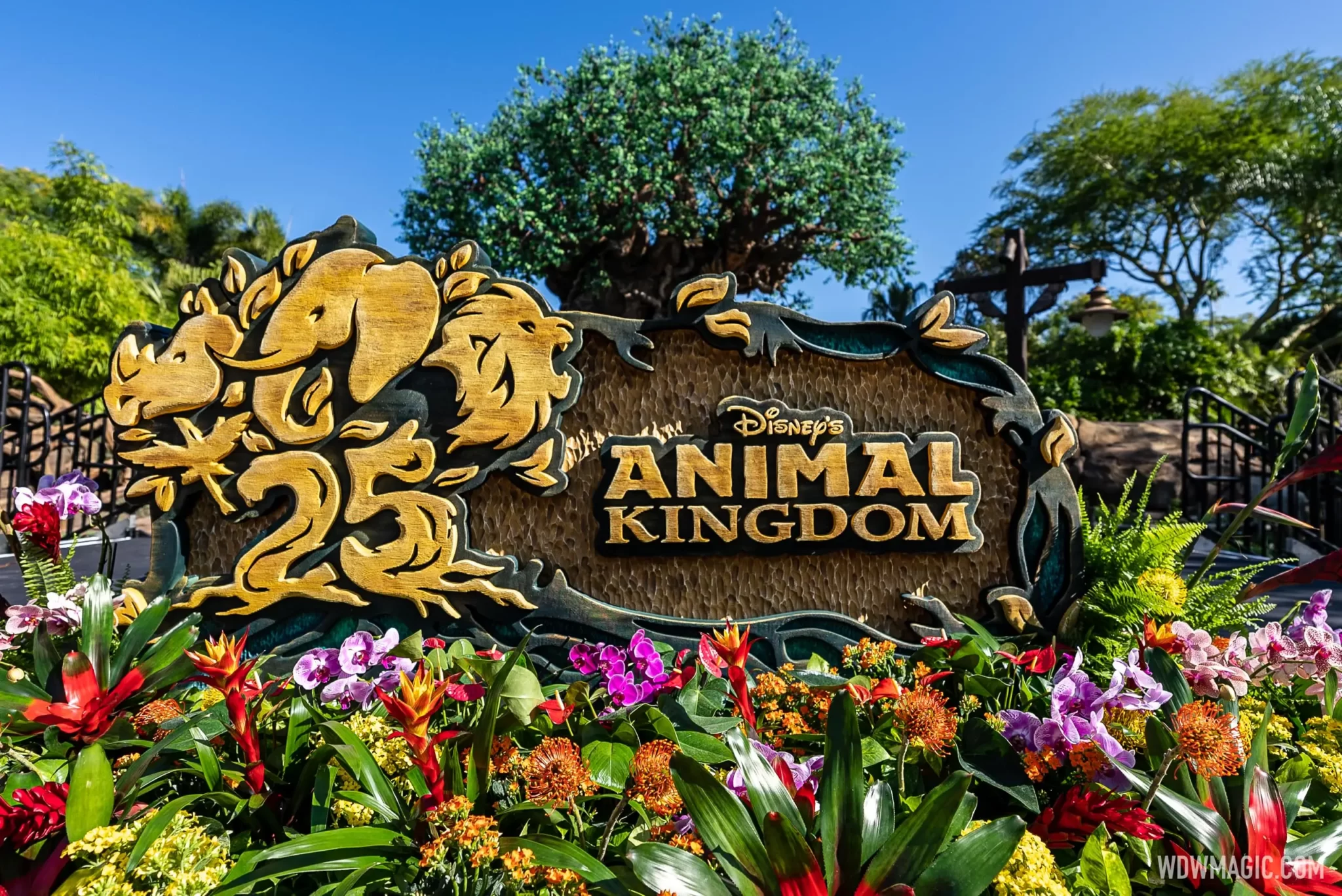 Disney's Animal Kingdom