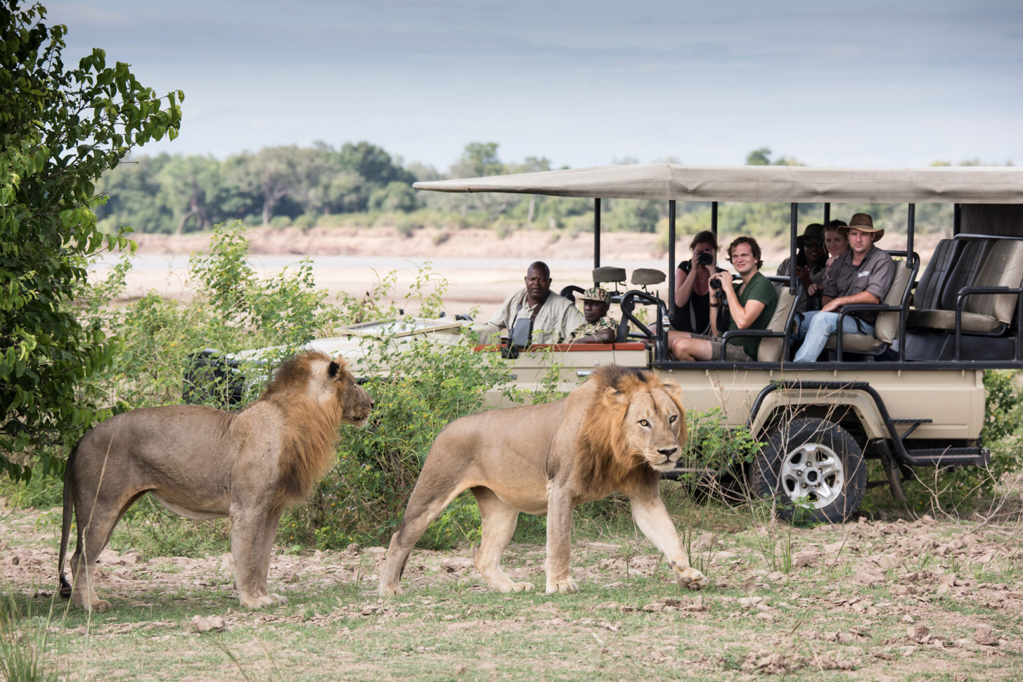 Photograph from South Luangwa National Park (Image courtesy: Zambia Tourism)