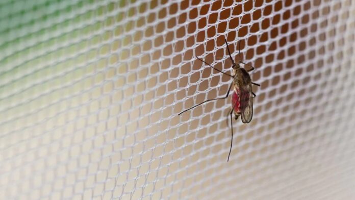 Mosquito Nets stolen at Chisha Mwamba Rural Health Center, Image: facebook