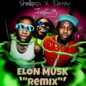 Song 'Elon Musk' by Nigerian singer Shallipopi
