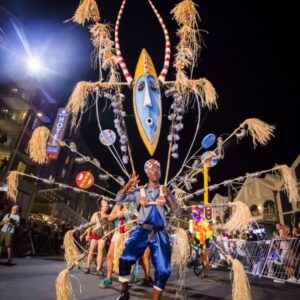Photograph from Lekker Cape Town Carnival