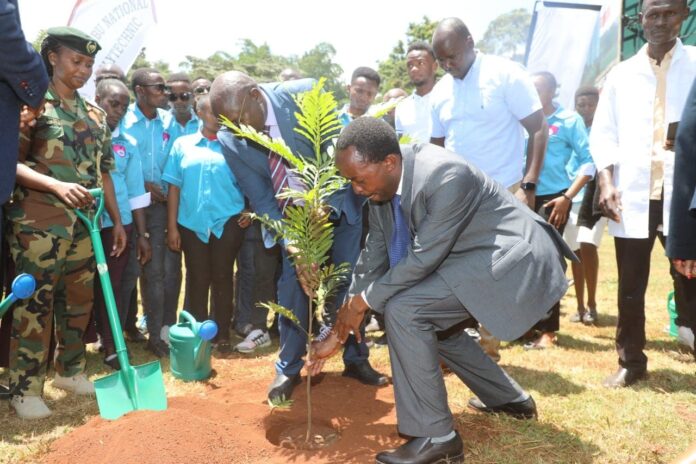 Kenya Forest Service, TVET hold Tree planting exercise in Nairobi, Image: Facebook