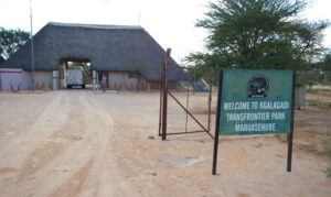 Mabuasehube Game Reserve in Kgalagadi