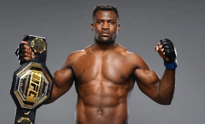 Cameroonian fighter Francis N'Gannou