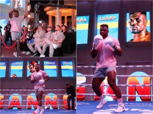 Francis N'Gannou while training openly before the match