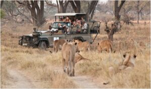 Machaba Safaris