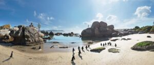 Boulders Beach South Africa