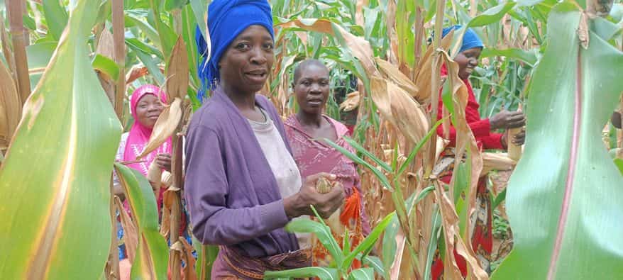 One Nation UK supports Malawi farmers with input and equipments, Image: facebook