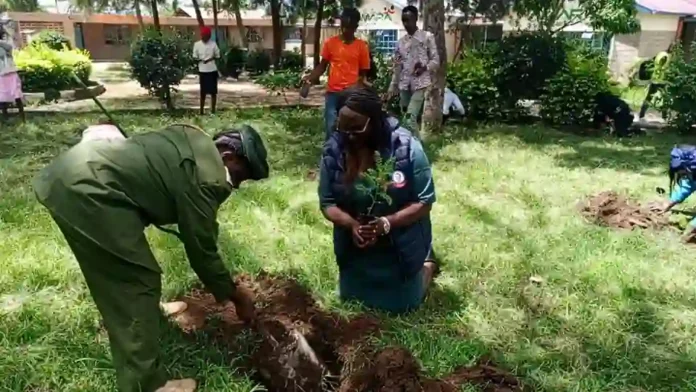 Long rains season tree planting initiative to be launched on Thursday,, Image: Facebook