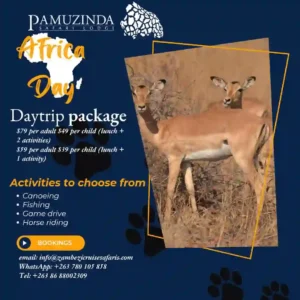 Poster of Daytrip by Zambezi Cruise and Safaris to Pamuzinda Safari Lodge 