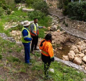 Photograph from the rehabilitation work of Blinkwater stream in Camps Bay 
