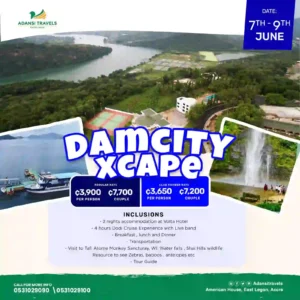 Poster of Damcity Xcape