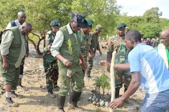 KFS commemorates International Day for Mangrove Conservation, Image: facebook