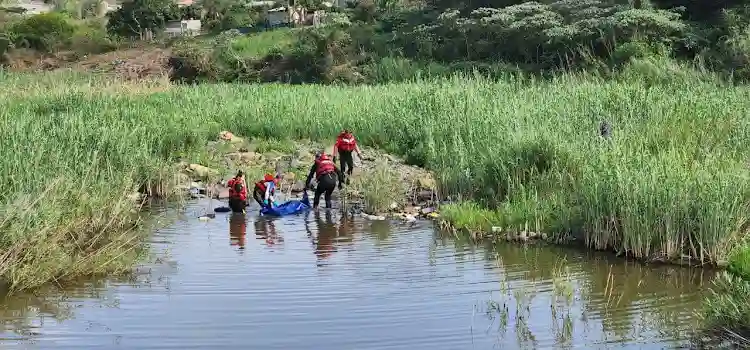 Representative image of the floating body found in Mazowe Dam