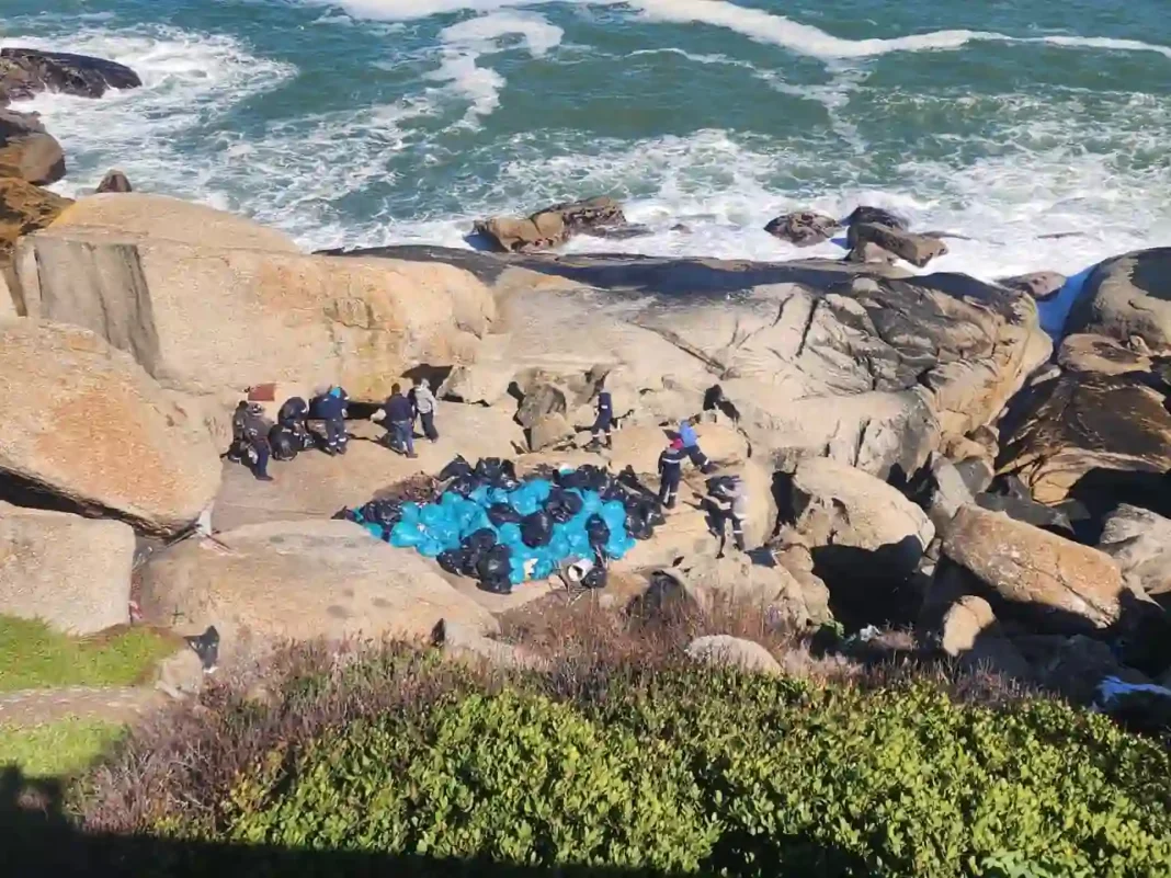 Photograph of the waste and litter collected from Bantry Bay caves