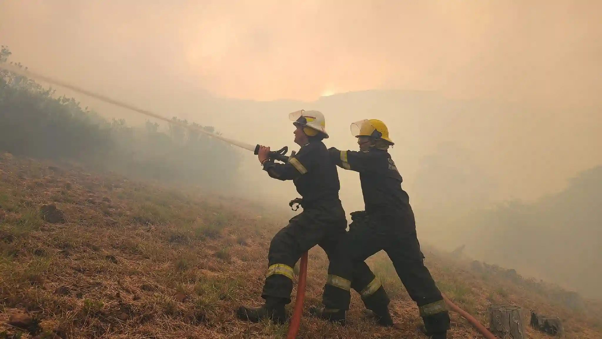 Fire and Rescue Service Team of Cape Town