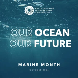 Poster of National Marine Month 