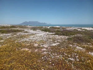 Blaauwberg Nature Reserve at Cape Town, South Africa