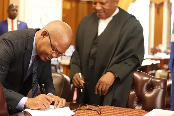 Jabu Mbalula swears in as acting Premier