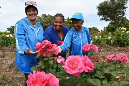 City of Cape Town officials during first rose show at Westridge Rose Garden