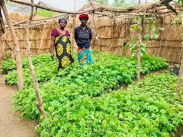 Community members around Chimpakati in Balaka District have promised to make efforts towards restoring the environment, Image: facebook